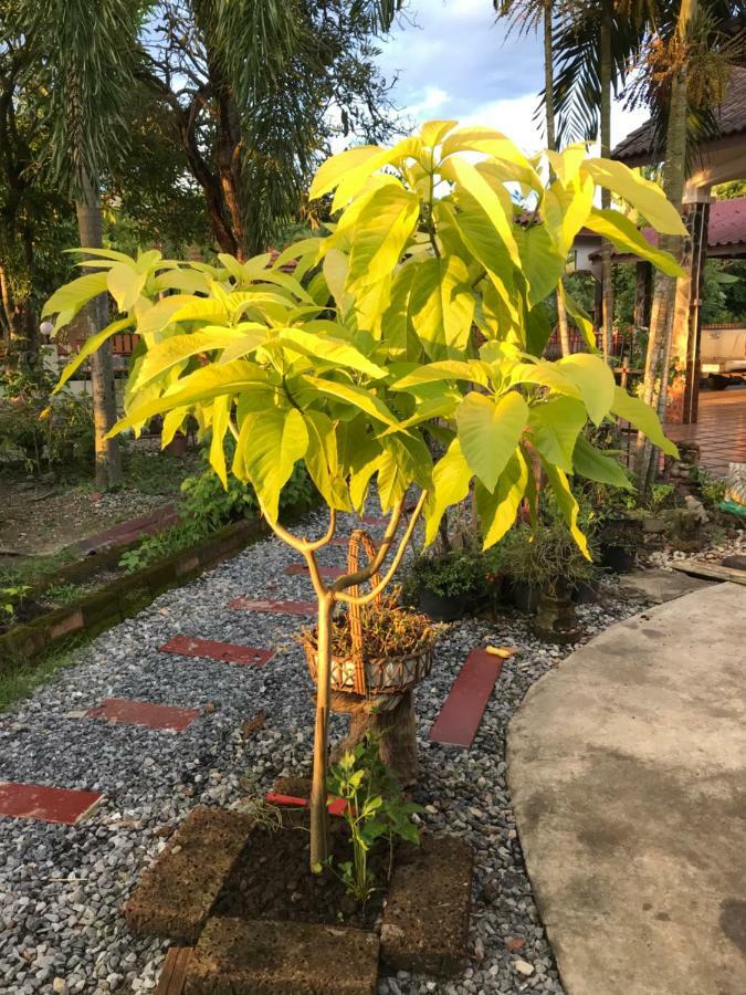 Grandma'S House Lägenhet Nakhon Nayok Exteriör bild